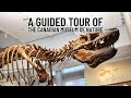 A Guided Tour of the Canadian Museum of Nature