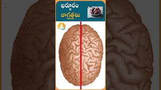 ఖర్జూరం ఎవరు తినకూడదు..!|#drcalmssanjeevani #dates #dryfruits #food #healthyeating #ytshorts #health