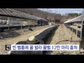 빈 벌통에 꿀 발라 꿀벌 12만 마리 훔쳐 ytn yes top news