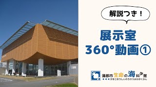 【蒲郡市生命の海科学館】解説つき！展示室360°動画①