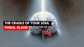 What They Don't Want You to Know About Your Soul: Pineal Gland