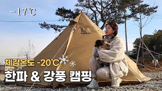 캠핑 브이로그/영하17도(feat.강풍)❄️극한의 한파 속에서 강아지랑 따뜻하게 하루를 보내는 법/DIY 코튼텐트/애견동반