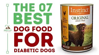 The Best Dog Food For Diabetic Dogs