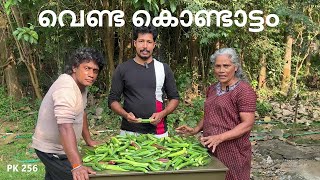 വെണ്ടക്ക കൊണ്ടാട്ടം ഉണ്ടാക്കുന്ന ശെരിയായ രീതി | Lady's finger Papad |