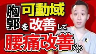 【腰痛治療】腰痛には胸郭？  肋椎関節へのアプローチ方法