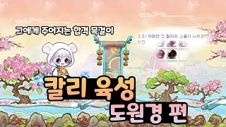 [메이플/리부트] 나도 이제 여명 4셋 더 강해진다!! (칼리 육성, 도원경, 데브팬)