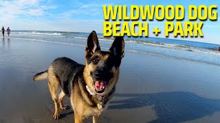 Wildwood Dog Beach + Park Tour