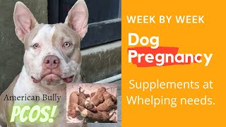 Week by week dog pregnancy! Dog food, Supplements and whelping needs!!