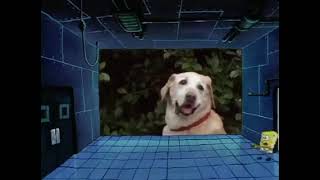 This is my lab!