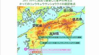 高茂岬　サンショウクイの渡り20111009.wmv