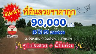 [ Ep.385 ] ขายที่ดิน 13 ไร่ 50 ตารางวา ราคาถูก 90,000 บาท / ไร่ โอนฟรี อ.วัดสิงห์ จ.ชัยนาท