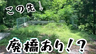 【廃橋】薮とガードレールの先に廃橋が！？道中で見つけた旧万代橋を探索！