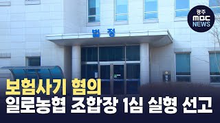 보험사기 혐의..일로농협 조합장 1심 실형 선고