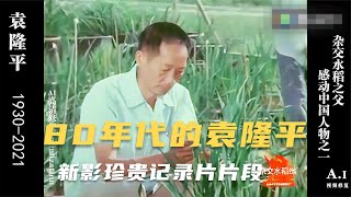 AI高清修复—新影厂拍摄的袁隆平在80年代的珍贵纪录影像！