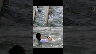 This Man Truly Defines Humanity by Saving this Dog From Drowning #stories #history #shorts