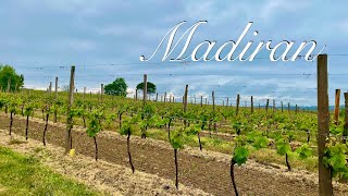 【ワインの産地マディランへ】フランス南西部ワイン/ワイナリー/Madiran/Montus/Winery/Winemaking/フランスワイン/料理人の休日