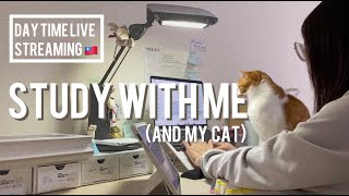 LIVE STUDY WITH Me ✨ | Med student and her cats 🐈 | 60/10