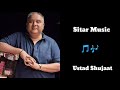 Sitar By Ustad Shujaat Khan