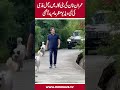 PTI Chairman Imran Khan walks in Bani Gala