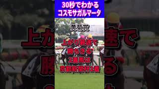 【セントライト記念2023】30秒でわかるコスモサガルマータ