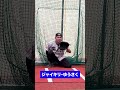 誰が 大谷翔平 の球捕れるか？ ハッキリさせよーぜ！　 shorts tiktok viral viralshorts 【shohei ohtani】侍ジャパン wbc2023