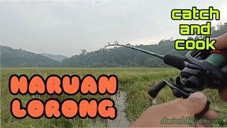 #EP627 Gasak Haruan Lorong Mesin Padi - casting haruan/gabus/snakehead