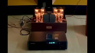 VT-62 drive 211 SE tube amp