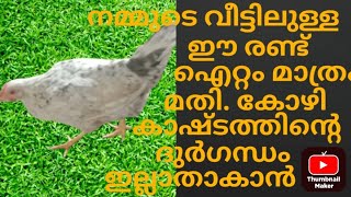 വീട്ടിലുള്ള ഈ രണ്ട് ഐറ്റം മാത്രം മതി! കോഴി കാഷ്ടത്തിന്റെ മണം ഇല്ലാതാവൻ!#poultryfarming #farming