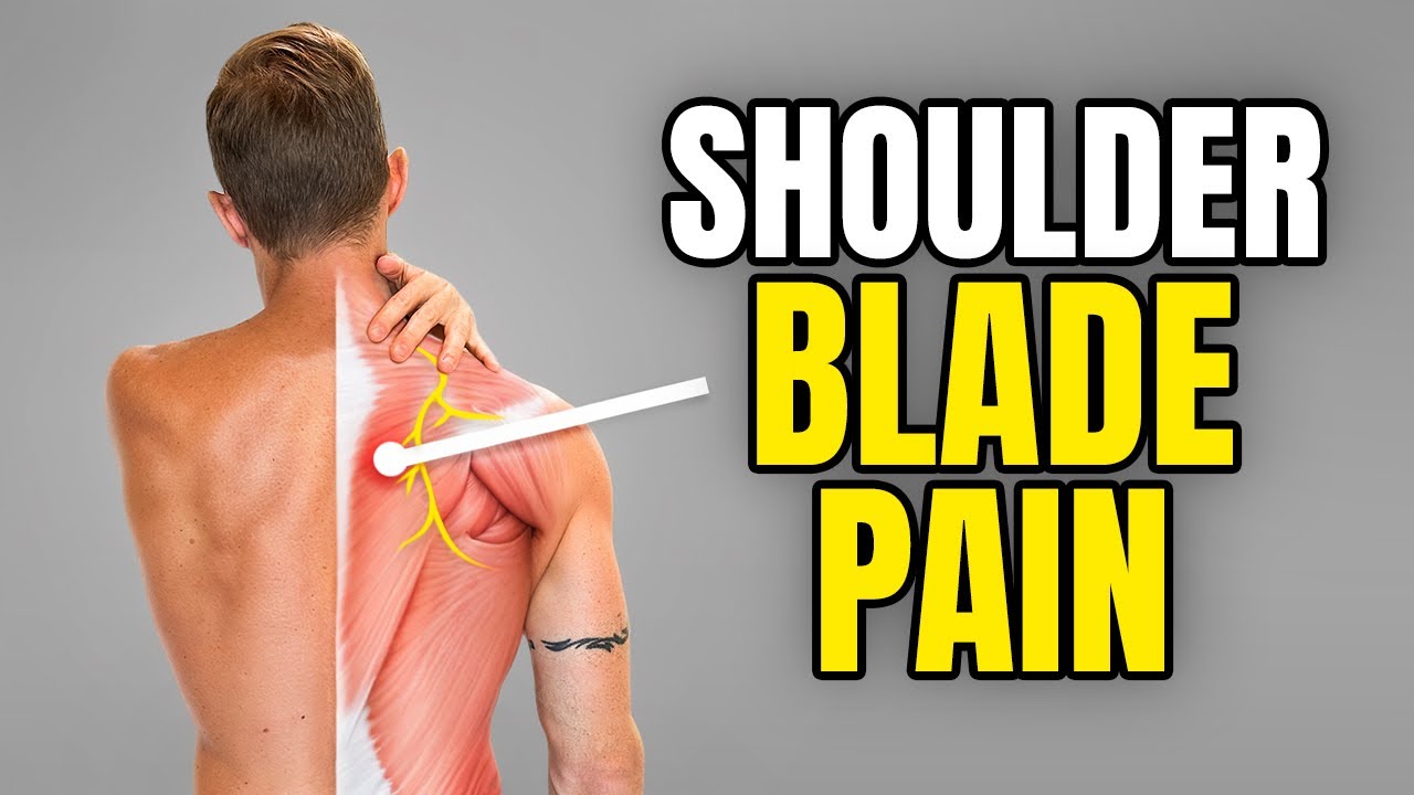 Shoulder Blade Pain Relief Exercises You Video Infoupdate Org