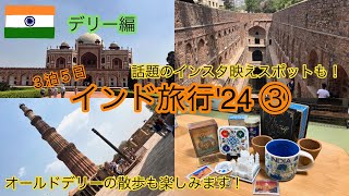 【2024インド🇮🇳旅行③】これぞインド！オールドデリーもニューデリーで様子が違う！