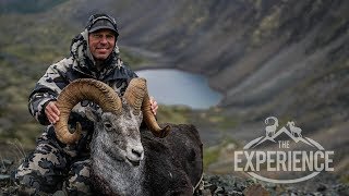 The Quest For 4 - STONE SHEEP -4K VIDEO