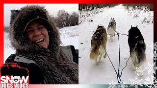 DOG SLEDDING AND SLEDDING INTO TREES