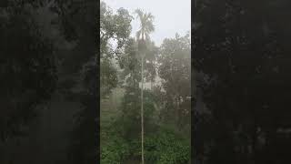 മഞ്ഞും മഴയും ❤️😍