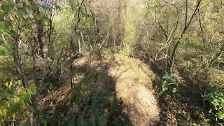 Mountain Biking Codorus, November 2nd with, Joe