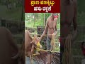 cow rescue karnataka rain ಹೊಳೆಯಲ್ಲಿ ಕೊಚ್ಚಿಹೋಗ್ತಿದ್ದ ಹಸು ರಕ್ಷಣೆ udupi flood rain