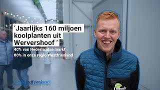 Veel kijkers bij open dag Plantenkwekerij Gitzels in Wervershoof