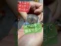 絶対離れたくないハムスターの抵抗が可愛すぎた　 shorts hamster ハムスター