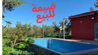 فرصة رائعة: مزرعة للبيع في المغرب بسعر مناسب | التفاصيل الكاملة بعد تساؤلاتكم