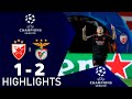 Estrela Vermelha x Benfica 1-2 Resumo | Liga dos Campeões UEFA 2024