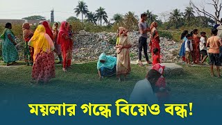 বাড়ির পাশে ময়লার ভাগাড়, মেয়ে বিয়ে দিতে পারছেন না মঞ্জুরা | Netrokona | Dhaka Post