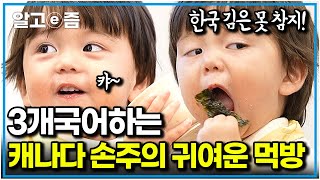 캐나다에 사는 한국 엄마♥프랑스 아빠 가족! 한국어도 잘하는 아이들의 귀여운 한식 먹방｜왔다! 내 손주｜알고e즘