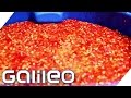 So entsteht die Sweet-Chili-Sauce | Galileo Lunch Break