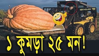 বিশ্বের সবচেয়ে বড় কুমড়া ওজন এক টন বা ১০০০ কেজি║THE WORLD’S BIGGEST PUMPKIN☺World Record║AGB NEWS