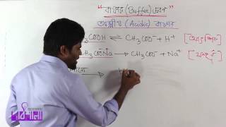 13. Mechanism of Acidic Buffer | OnnoRokom Pathshala