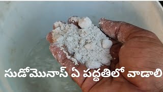 చనిపోతున్న మొక్కని కూడ బ్రతికించే  సంజీవని|| healthy growth in plants #