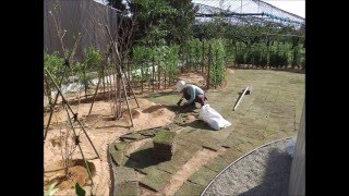 山形県天童市Ｋ様邸ガーデニング　山形県東根市（株）武田園芸