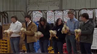 Local students showcase talent at Love County Ag Mechanics Show