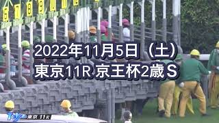 2022年11月5日（土）東京11R 京王杯2歳Ｓレース映像