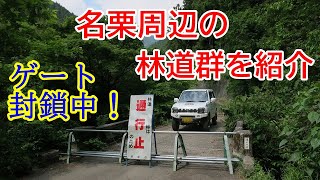 東京林道 Vol.65 名栗周辺林道（埼玉県 飯能市）