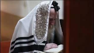 Rabbi Yitzchak Meir Morgenstern Davening Shachris